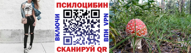 Галлюциногенные грибы Psilocybine cubensis  Ишим 