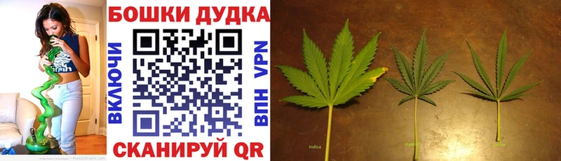 Бошки марихуана Bruce Banner  Ишим 